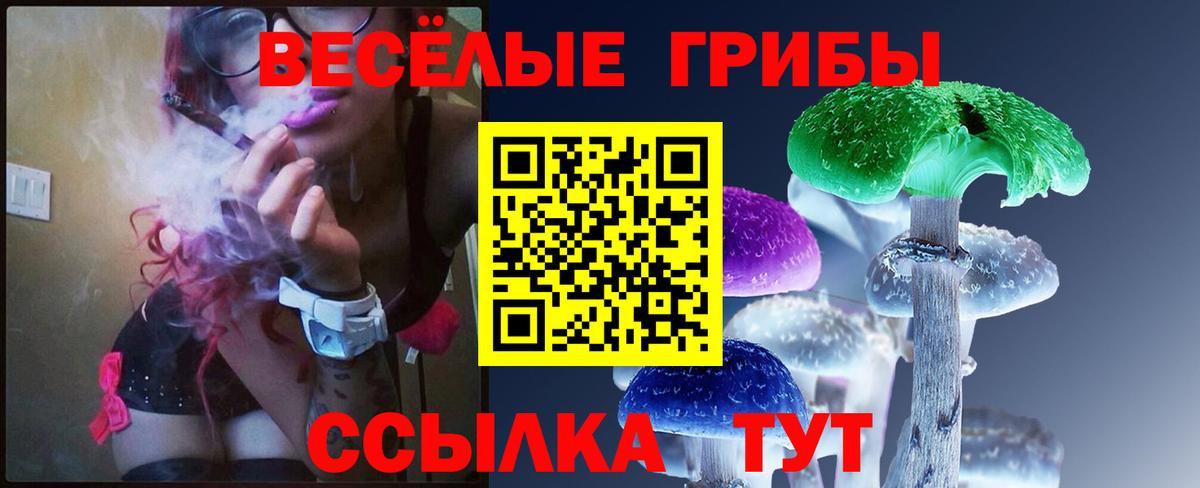 Галлюциногенные грибы ЛСД  Вход с VPN  Тимашёвск 